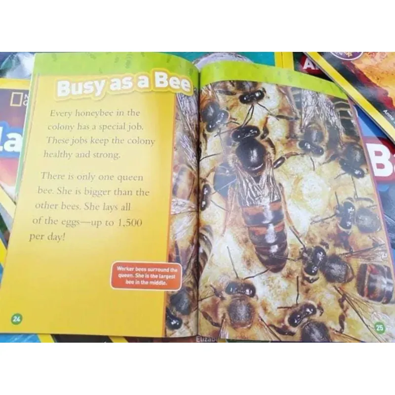 Sách Khoa học - National Geographic kids - Level 2 41 cuốn giấy bóng đẹp - tặng Audio 1000830