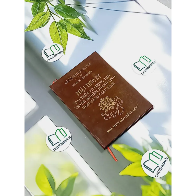 Đại Thừa Vô Lượng Thọ Trang Nghiêm Thanh Tịnh Bình Đẳng Giác Kinh - HT. Thích Đức Niệm 750812