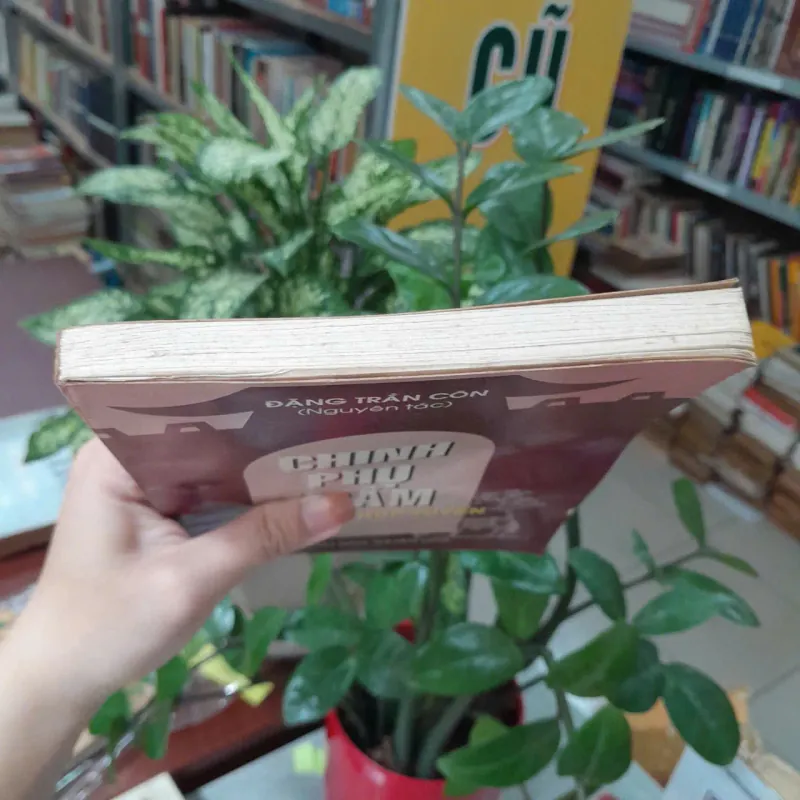 CHINH PHỤ NGÂM - ĐẶNG TRẦN CÔN 1039332