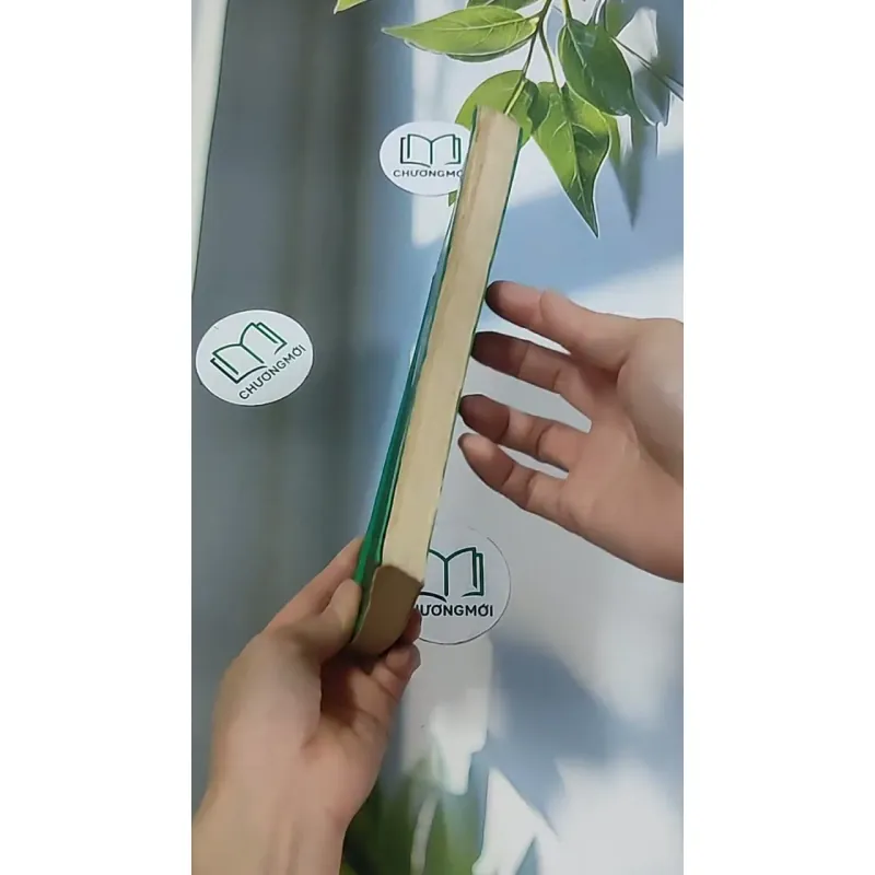 Trà Hoa Nữ 674981