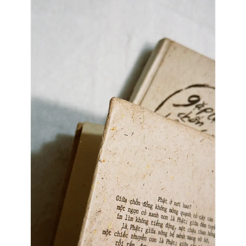 Combo 2c Bạch Lạc Mai (bìa cứng)  701865