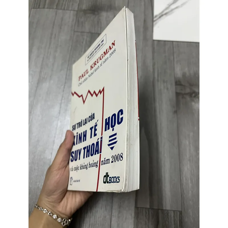 Sự trở lại của kinh tế học suy thoái và khủng hoảng năm 2008. 6a4 737109