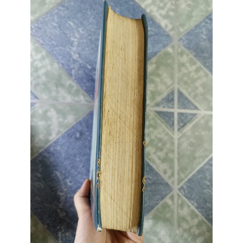 Hồ Quý Ly - Nguyễn Xuân Khánh 751479