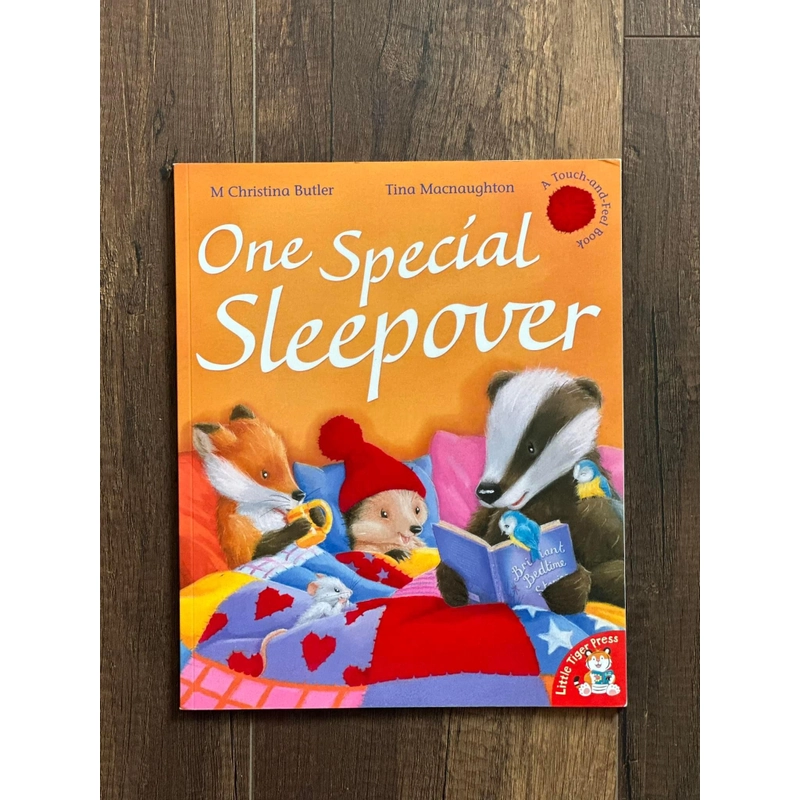 [Phủ nhung] One Special Sleepover  250137