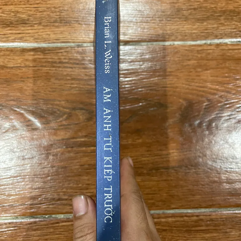 Ám ảnh từ kiếp trước (15) 567428