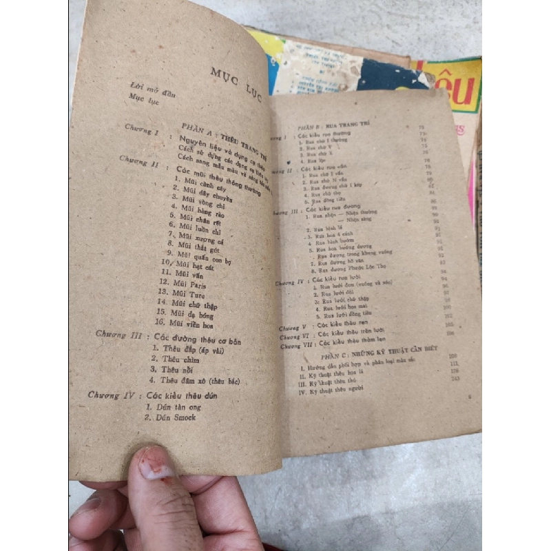 Kỹ thuật thêu rua - Triệu Thị Chơi 496434