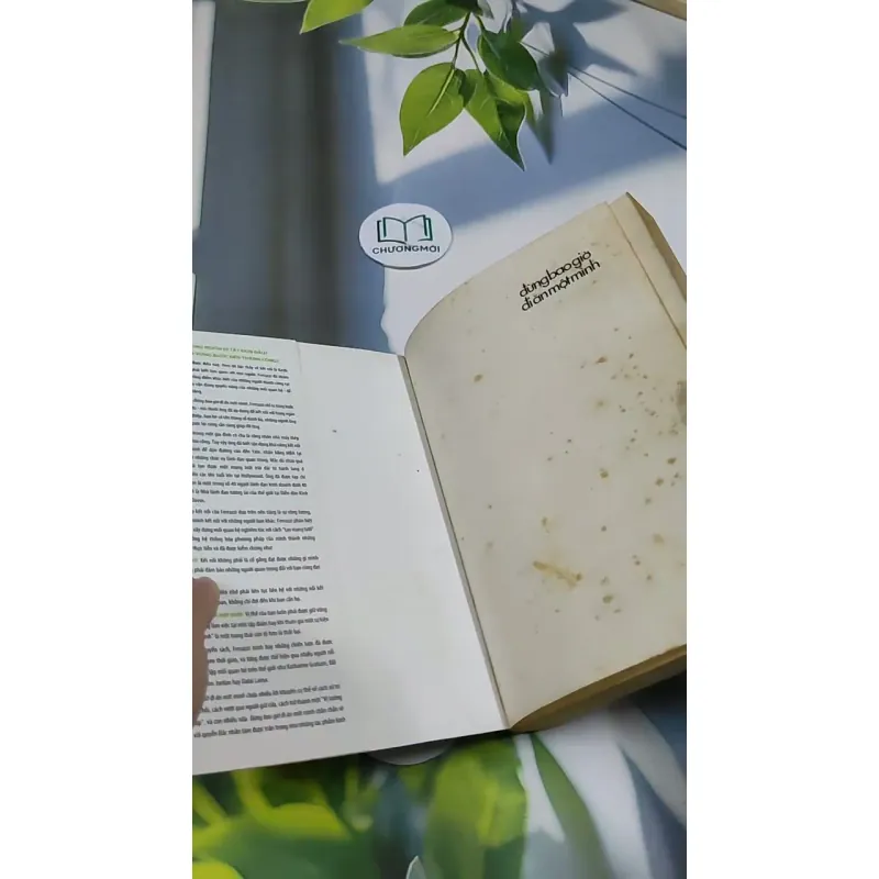 Đừng Bao Giờ Đi Ăn Một Mình 705698