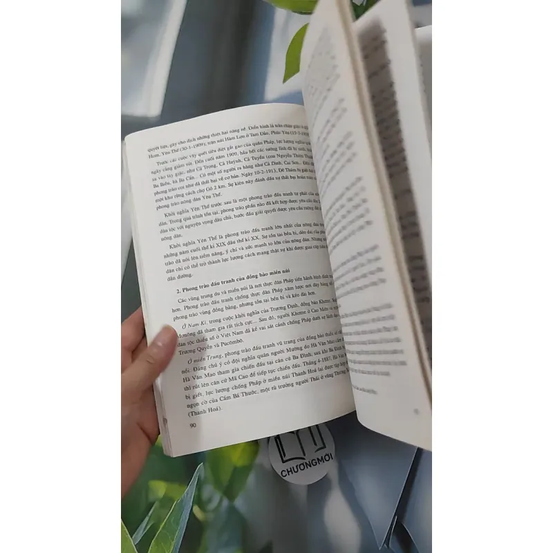 Đại Cương Lịch Sử Việt Nam 2 - Đinh Xuân Lâm 970272