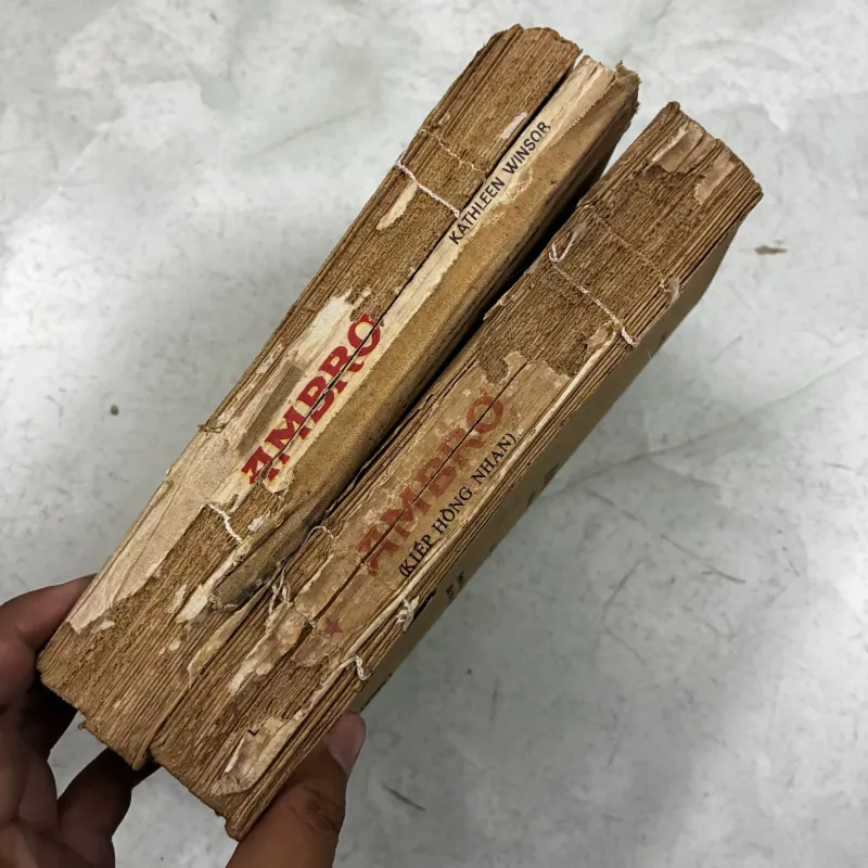 Ambrơ Kiếp hồng nhan (Bộ 2 tập) 1031569
