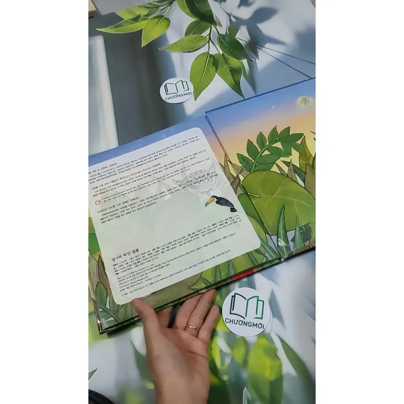 Truyện thiếu nhi Hàn Quốc: Moyamo Anu 26 -  모야모 아누와: 달나라 하얀 달꽃 750839