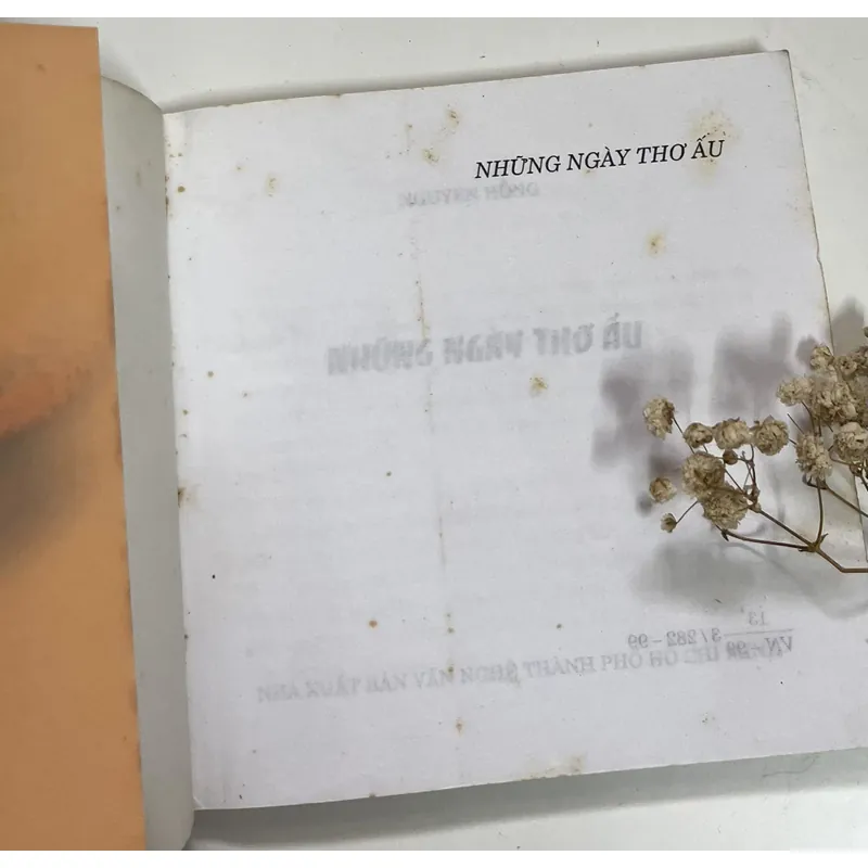 Những ngày thơ ấu – Nguyên Hồng 674589