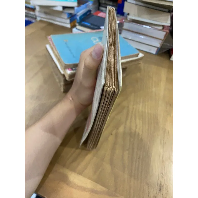 Ngọn nến bên kia gương - Nguyễn Thị Minh Ngọc 120320