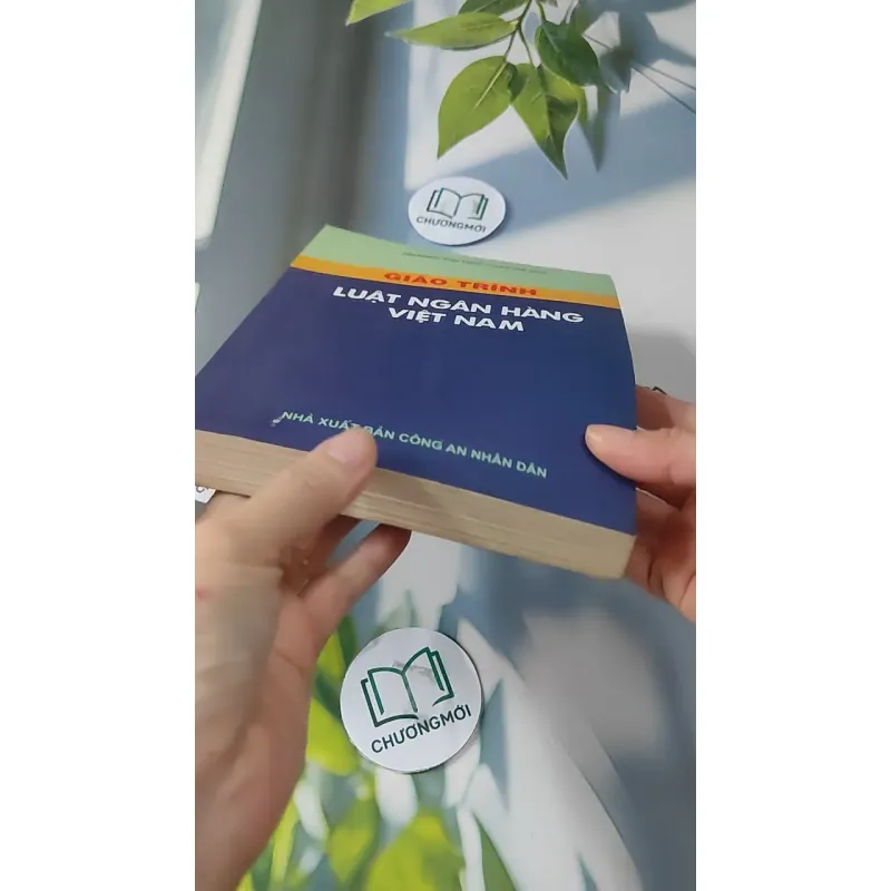 Giáo Trình Luật Ngân Hàng Việt Nam 727229