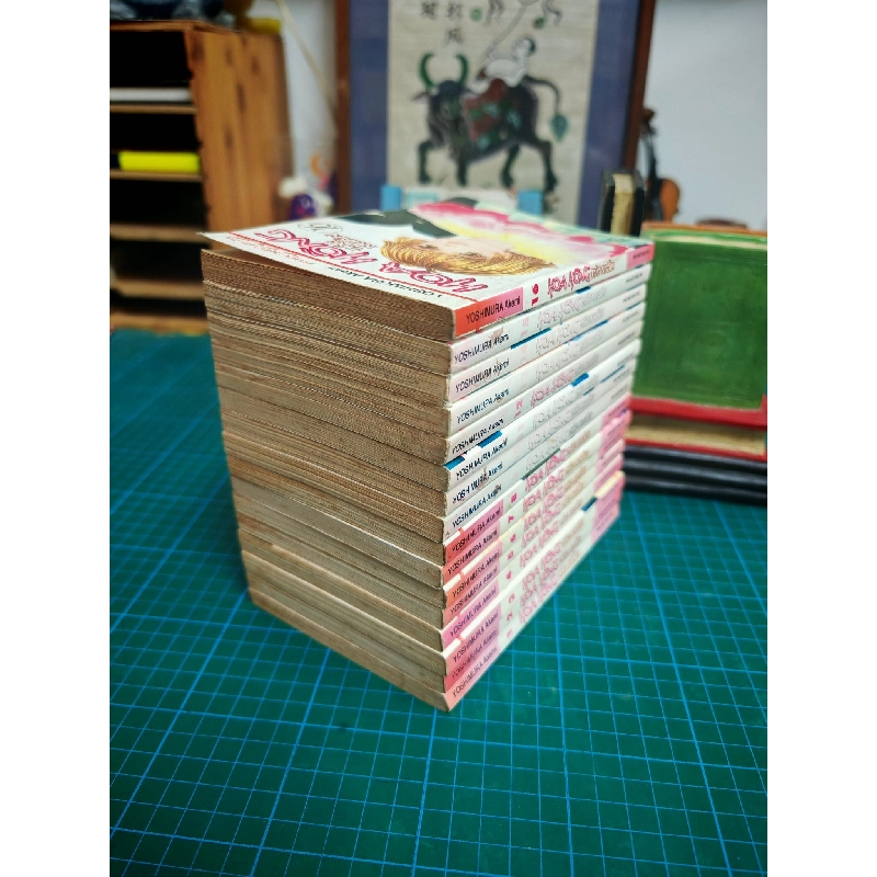 TRUYỆN TRANH HOA HỒNG TÓC NGẮN - YOSHIMURA AKEMI 324429