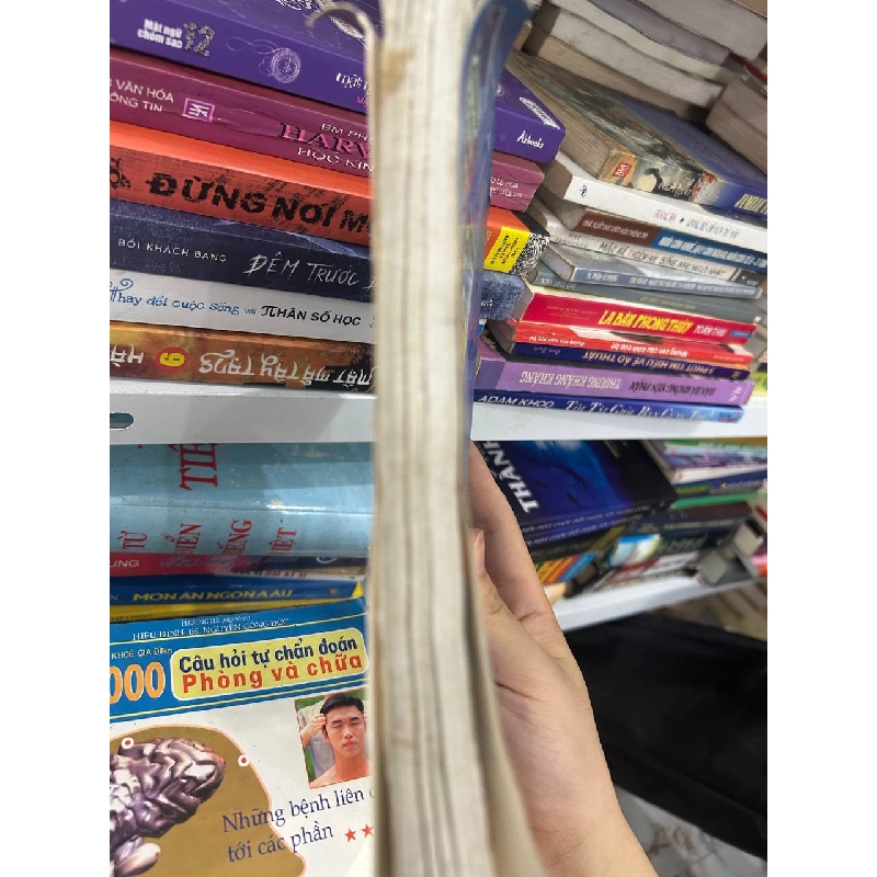 Tin học cơ bản - Microsoft Word 2003 - Phạm Công Anh 1062940