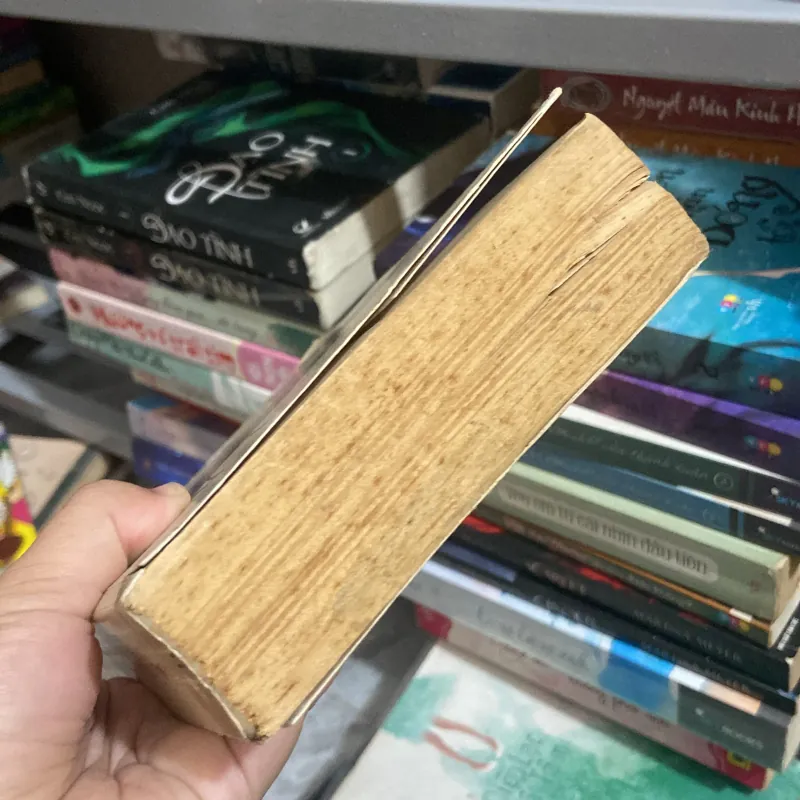 Mãi Mãi là bao xa - Diệp Lạc Vô Tâm 961662