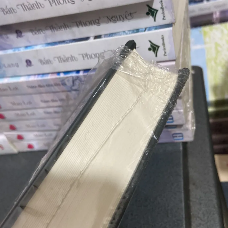 (Văn học kinh điển) - Nhà thờ đức bà Paris - Victor Hugo 1005083