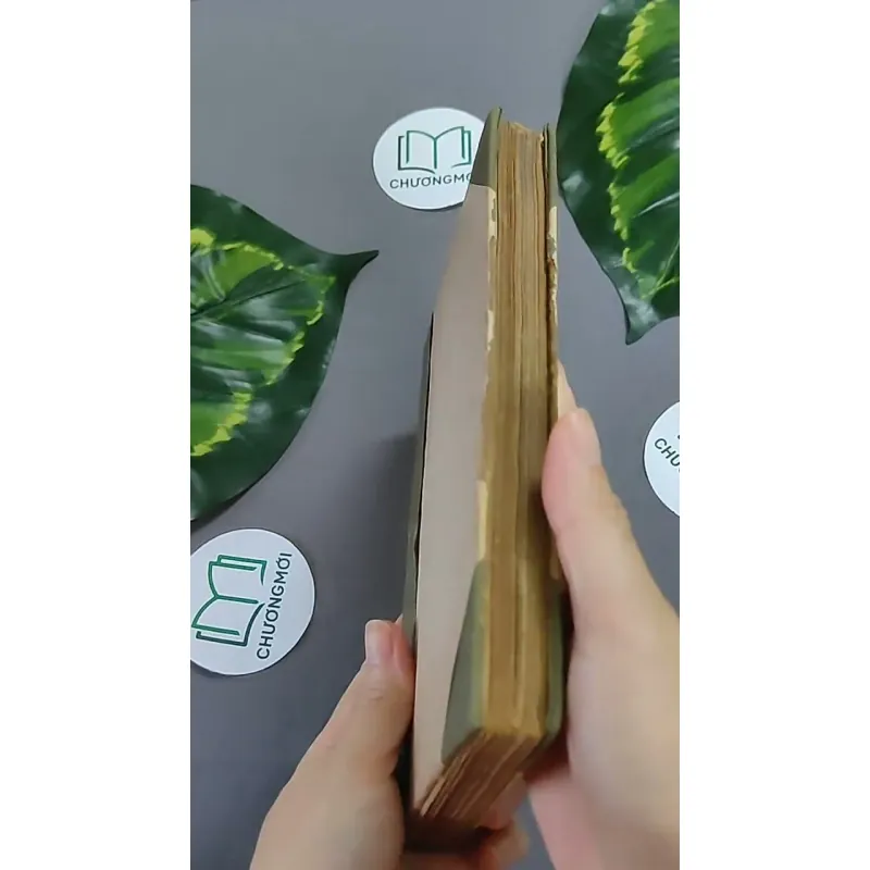 Trà Hoa Nữ 604659