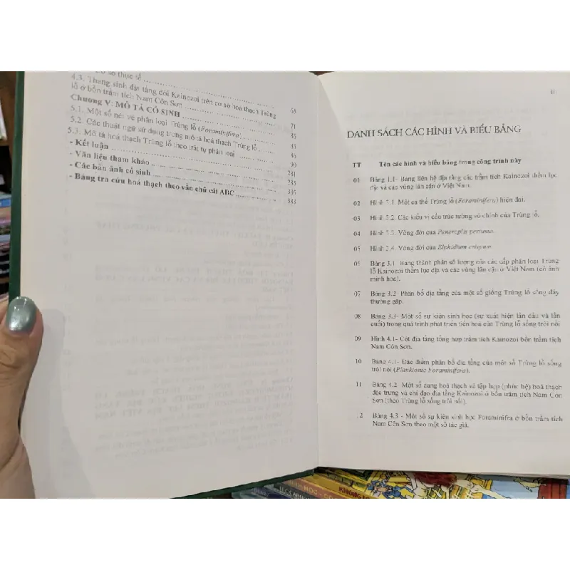 Hoá thạch trùng lỗ - Nguyễn Ngọc, Nguyễn Hữu Cử, Đỗ Bạt 712070