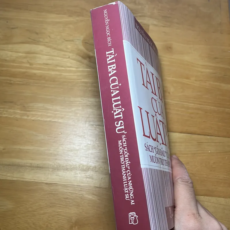 [luật- chính trị] Tài ba của luật sư - Nguyễn Ngọc Bích 719490