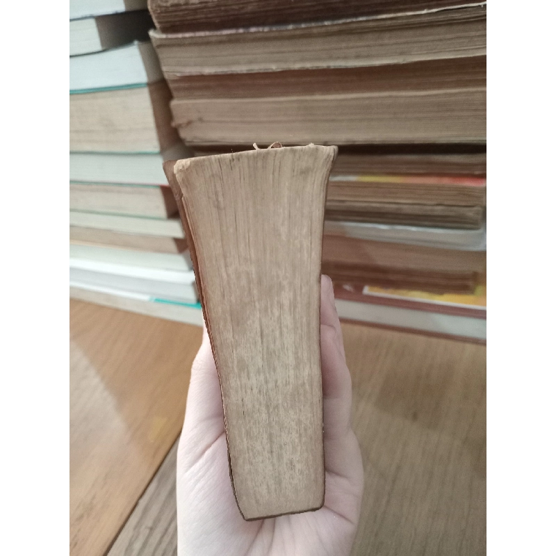 THE HOLY BIBLE 300762