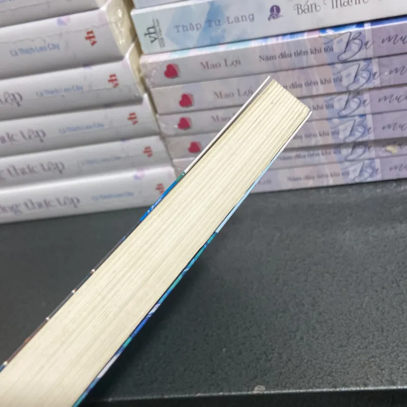 (Tiểu thuyết) - Biệt thự Longbourn - Jo Baker  1005040