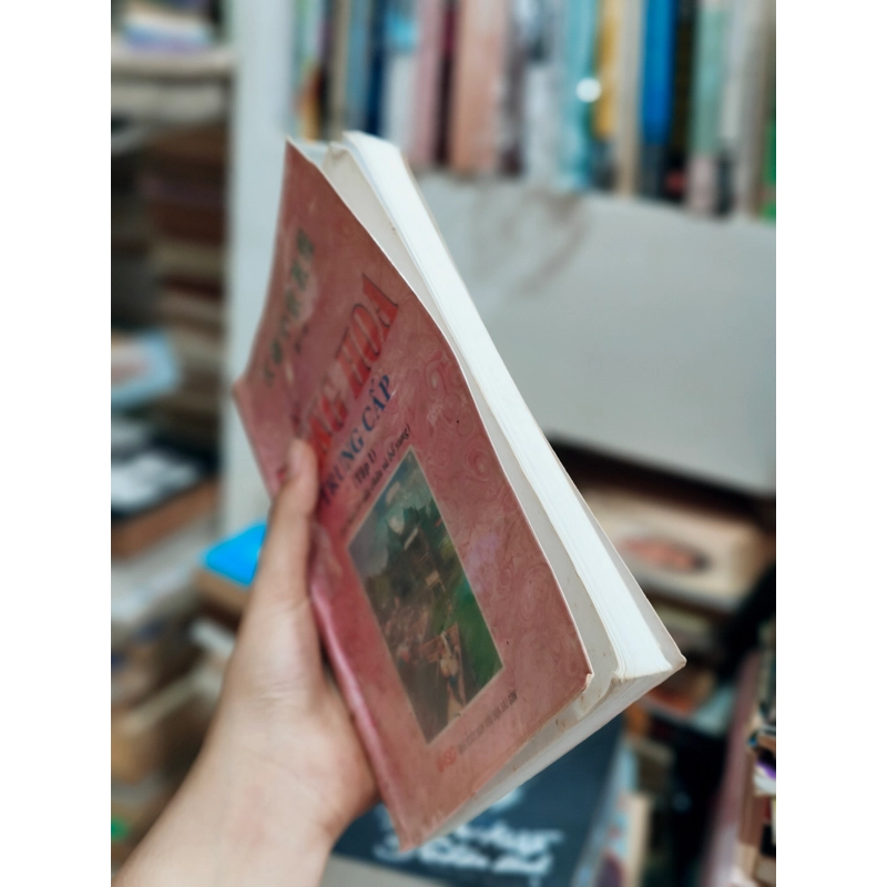 Tiếng Hoa trung cấp 🌱 521929