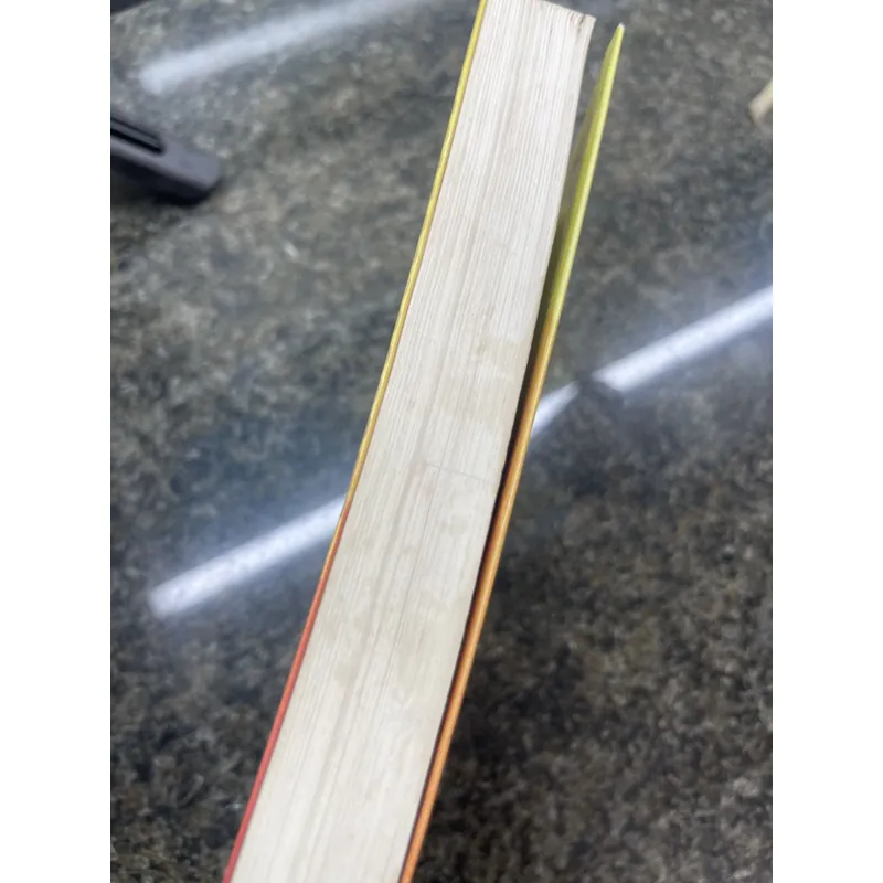 Ngàn mặt trời rực rỡ Khaled Hosseini 731011