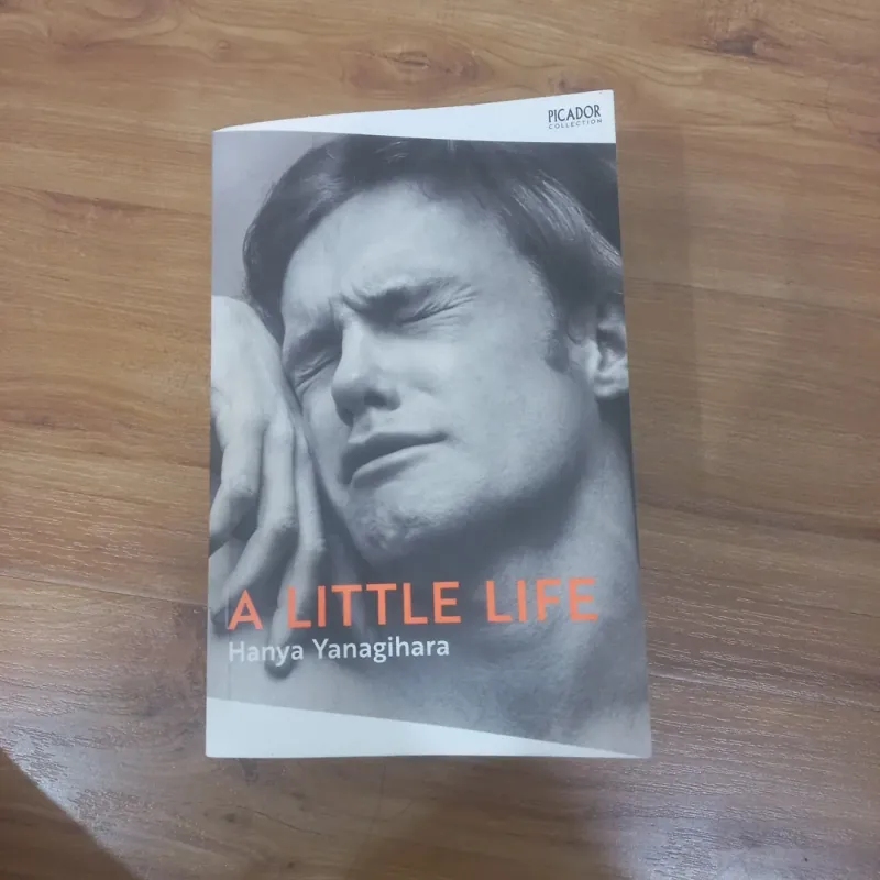 A Little Life 957201