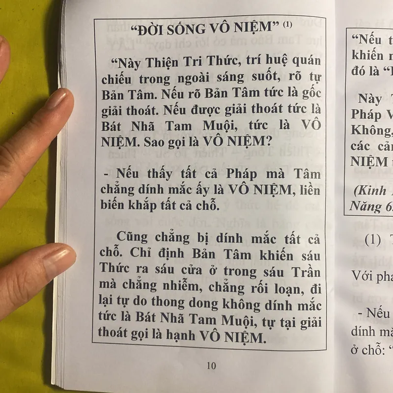 Đời Sống VÔ NIỆM - HT Đắc Huyền - Thích Như Phước Tuă  630596