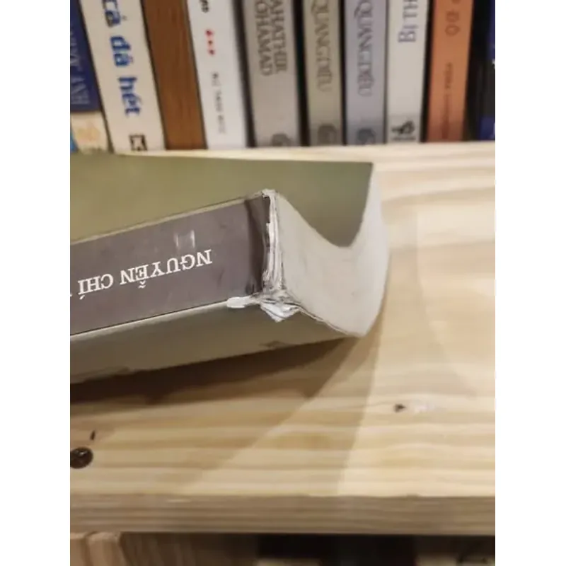 Người thầy - Nguyễn Chí Vịnh 999905