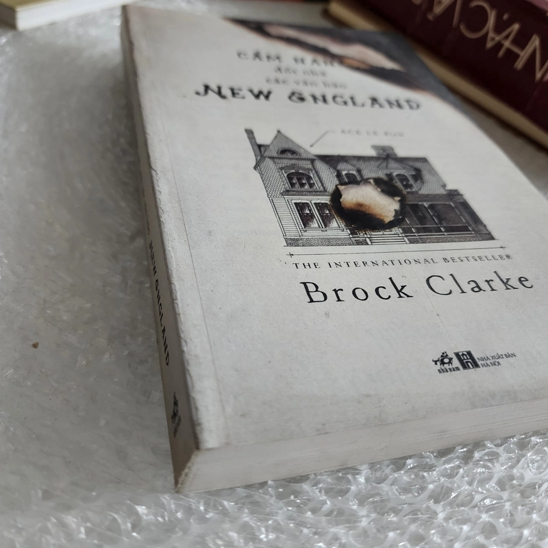 Cẩm nang đốt nhà các văn hào New England | Brock Clarke 518424