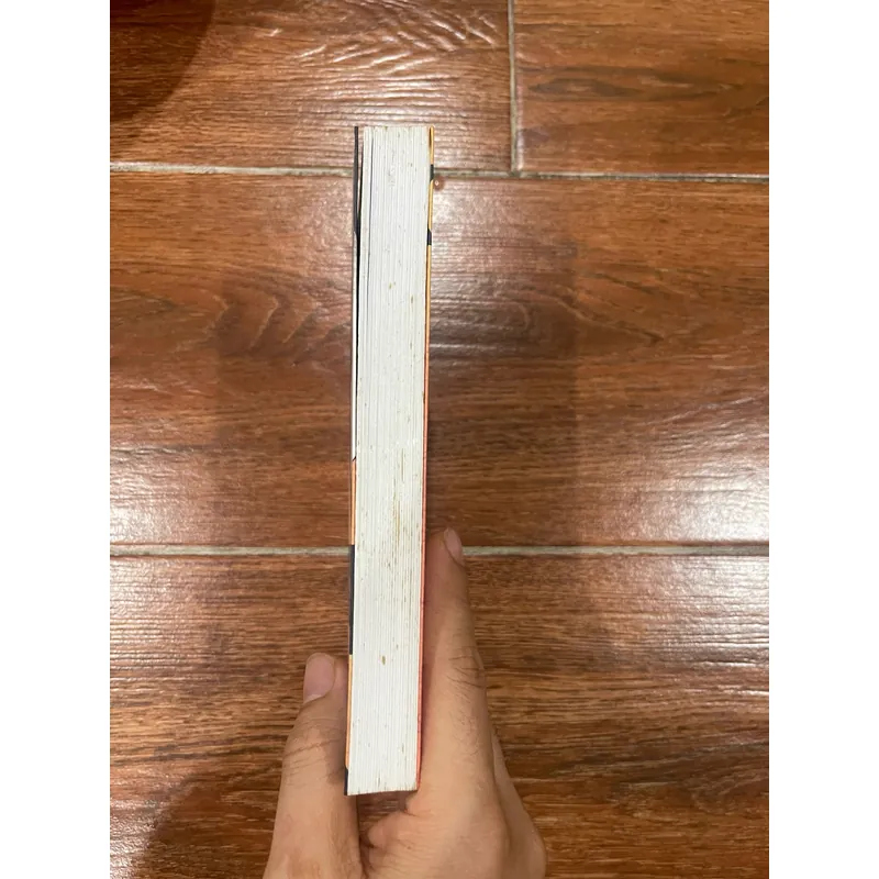 Phía sau nghi can X - Higashino Keigo (15) 1063357