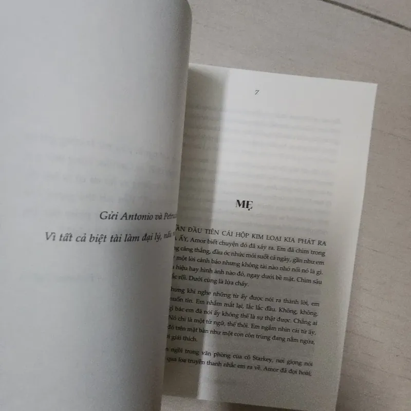 Sách Lời hứa của Damon Galgut 716900