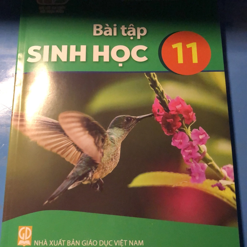 sách sinh 11 551538