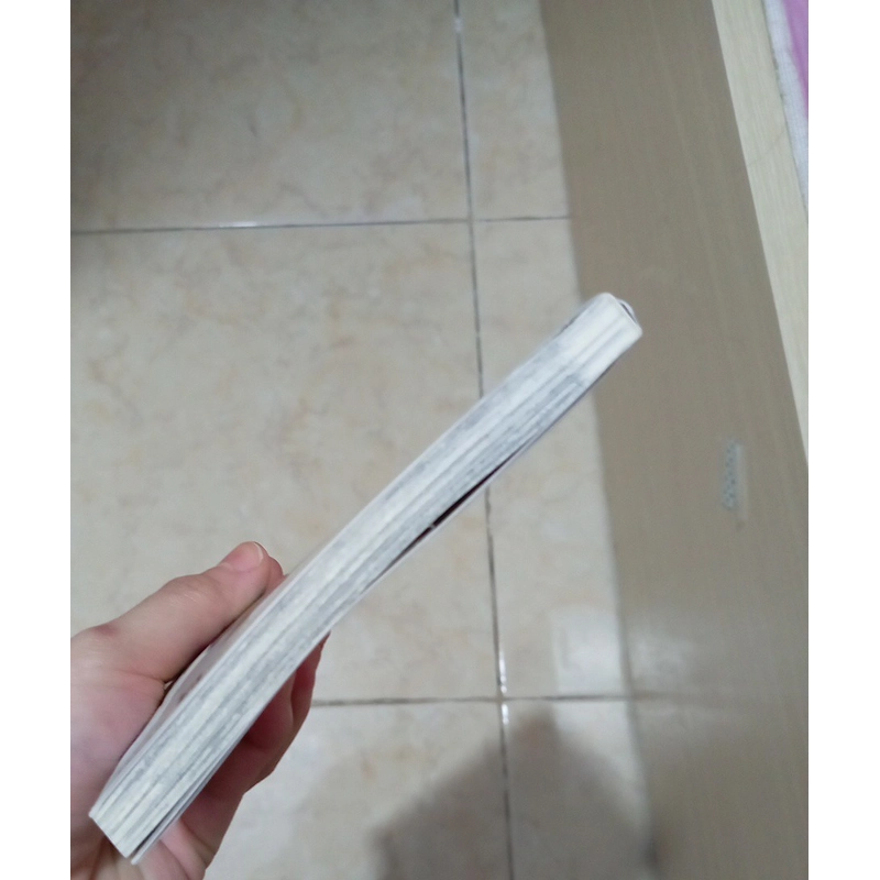 Truyện tranh - Người lạ bên bờ biển  499189