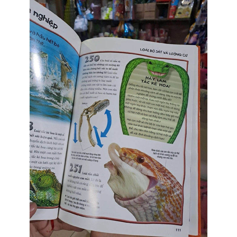 500 dữ kiện khoa học về động vật - 2013 mới 90% - KHOA HỌC ĐỜI SỐNG - HCM0111 920801