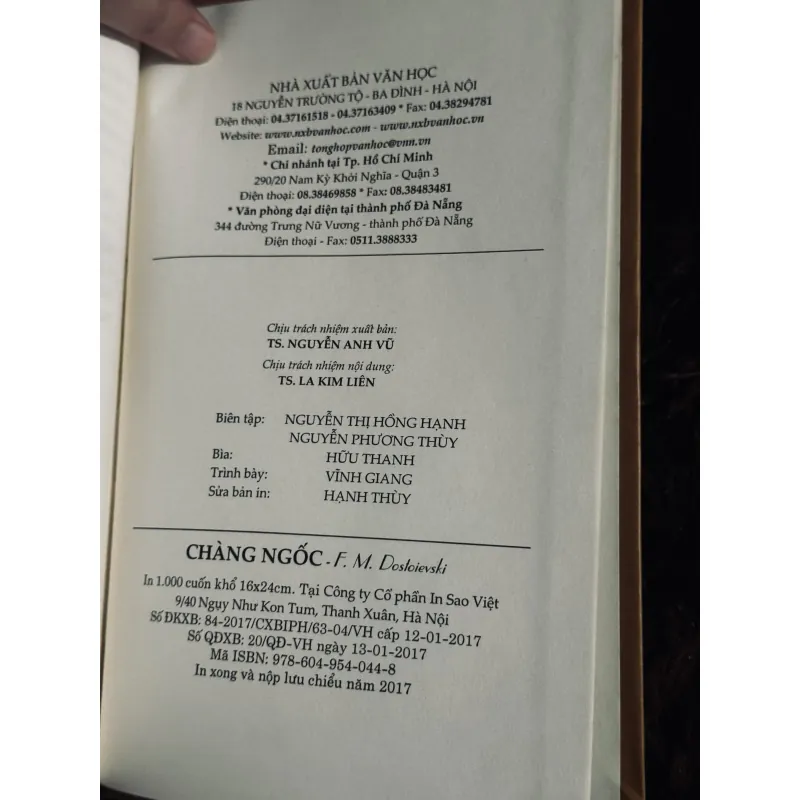 Chàng Ngốc 1008066