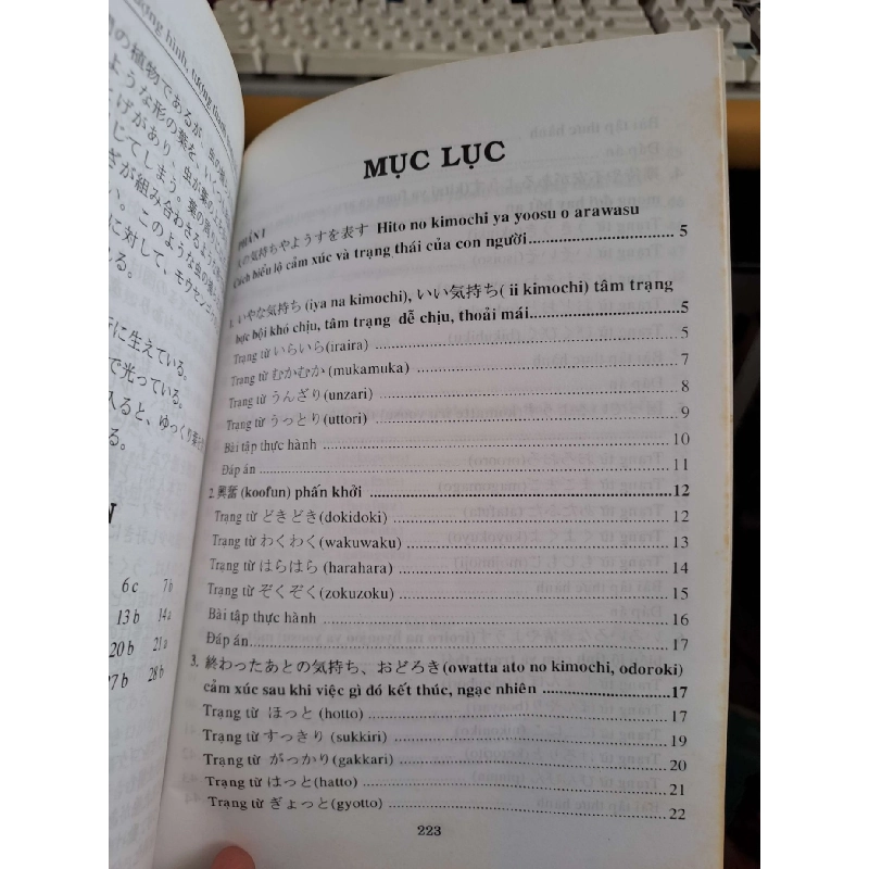 Từ tượng hình tượng thanh trong tiếng Nhật - Vinh Trân - Thùy Linh HỌC NGOẠI NGỮ HCM.TN1008 920080