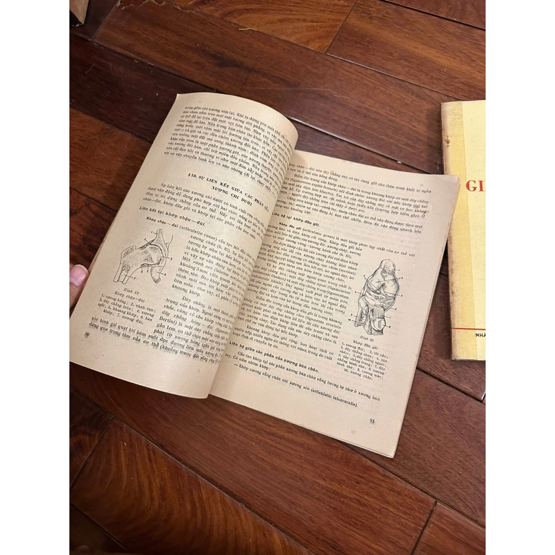 Giải phẫu người (trọn bộ 2 tập) 551684