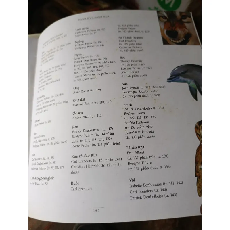 Những con vật làm nên lịch sử 1013741