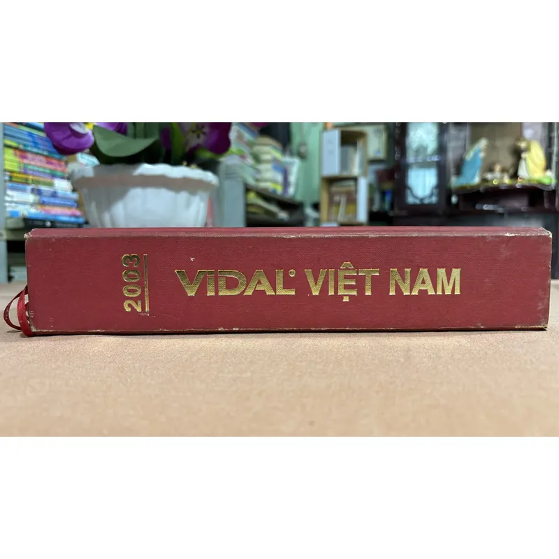 Vidal Việt Nam 2003 🌊 718558