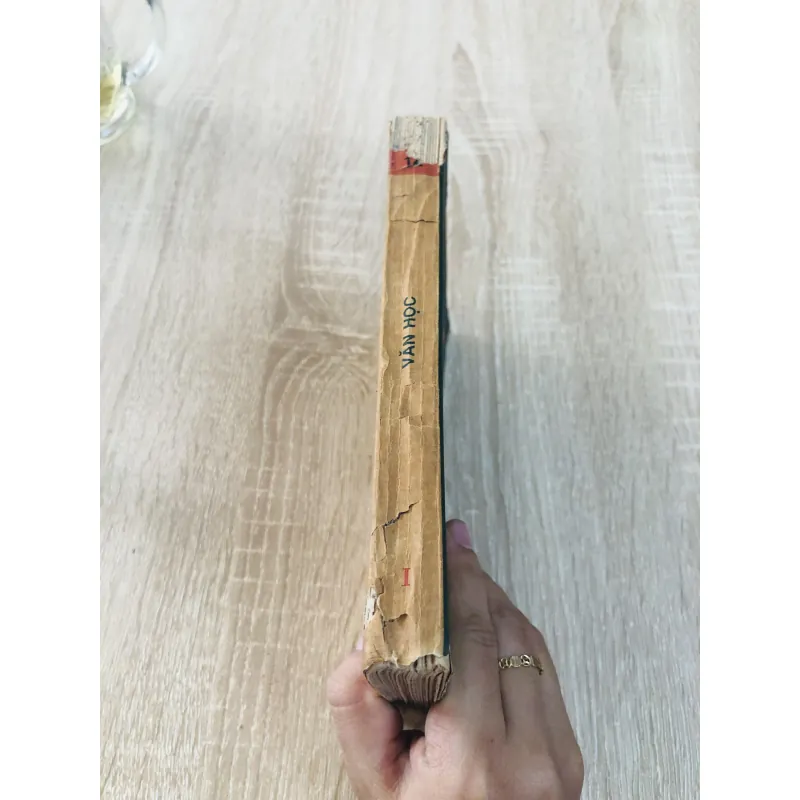 VĂN HỌC 12 973840