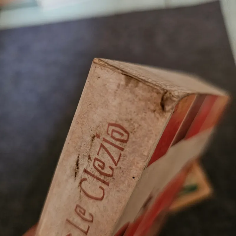 Sa mạc - Le Clezio 735651