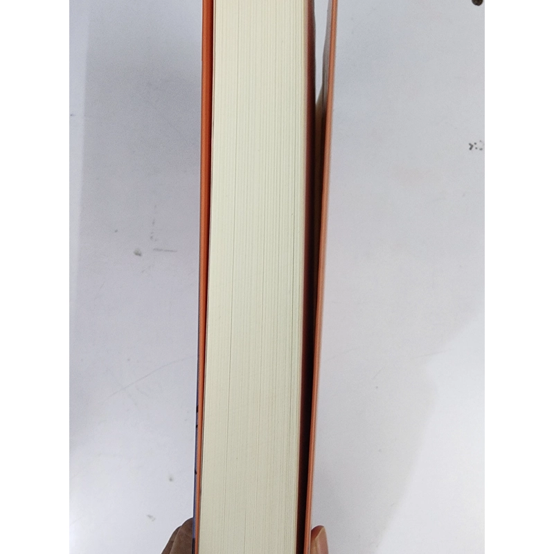 Sách Sơn ca vẫn hót của Kristin Hannah bìa mềm mới 99% 506752