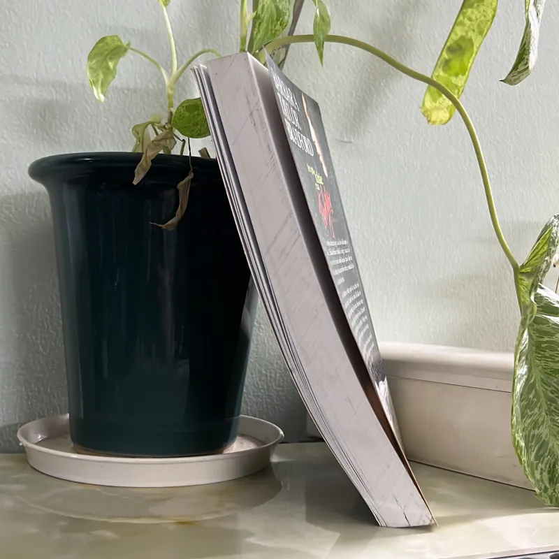 Tên gọi khác của tình yêu 746133