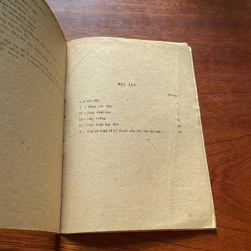 II Sách Xưa: Cây Đào Lộn Hột (Cây Điều) - Phạm Đình Thanh, Nguyễn Bội Quỳnh - 1983 504414