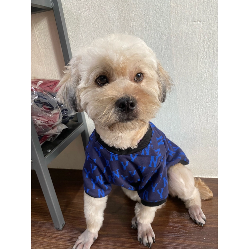 Áo Ny cho thú cưng 518376