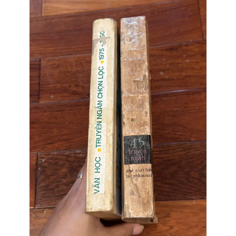 Truyện ngắn Việt Nam 1975–1990 (2 quyển) 931224