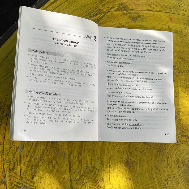 NGỮ PHÁP TIẾNG ANH THỰC DỤNG- HẢI YẾN - PHƯƠNG TRANG 696181